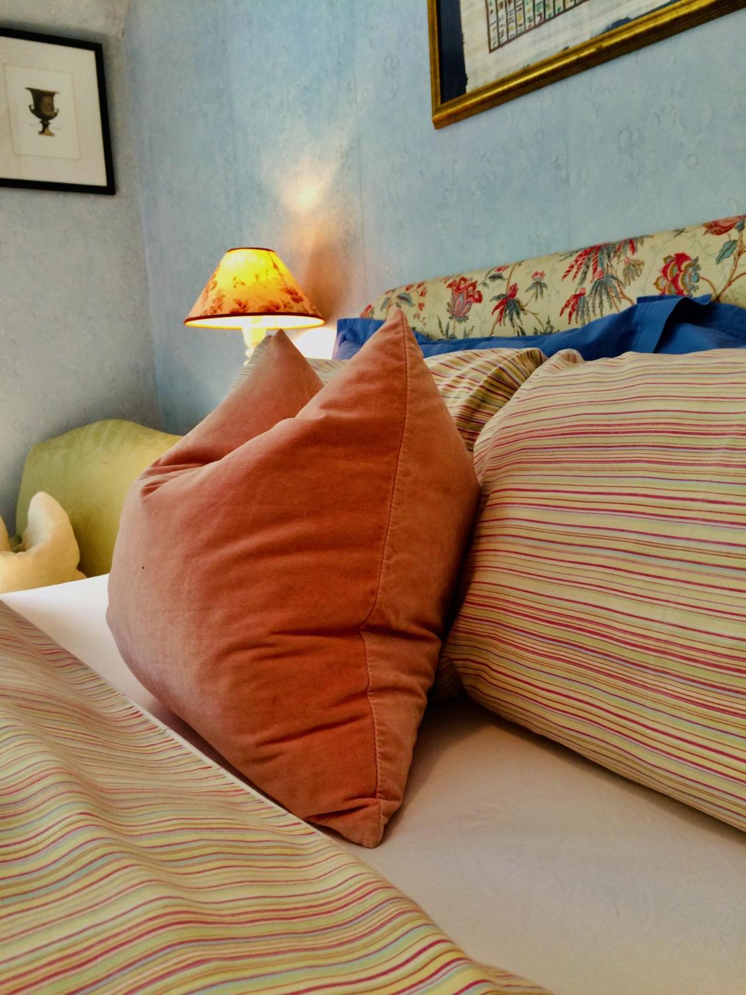 Le Clos Rabelais Bed & Breakfast Langeais